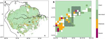 Climate Benefits of Intact Amazon Forests and the Biophysical Consequences of Disturbance